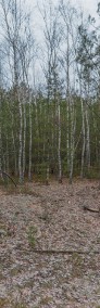 Urokliwa działka leśna w Wesołej (0,53 ha)-4