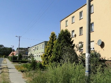 Mieszkanie Zaniemyśl-1