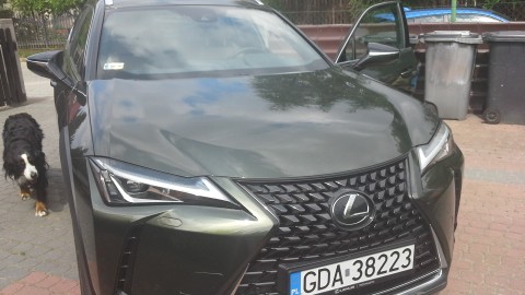 UX200 SUV 2,0 ELEGANCE OPTIMUM, serwisowane w ASO, gwarancja