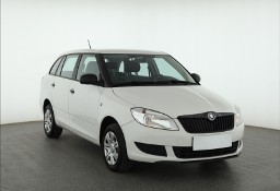 Skoda Fabia II , Salon Polska, Klima
