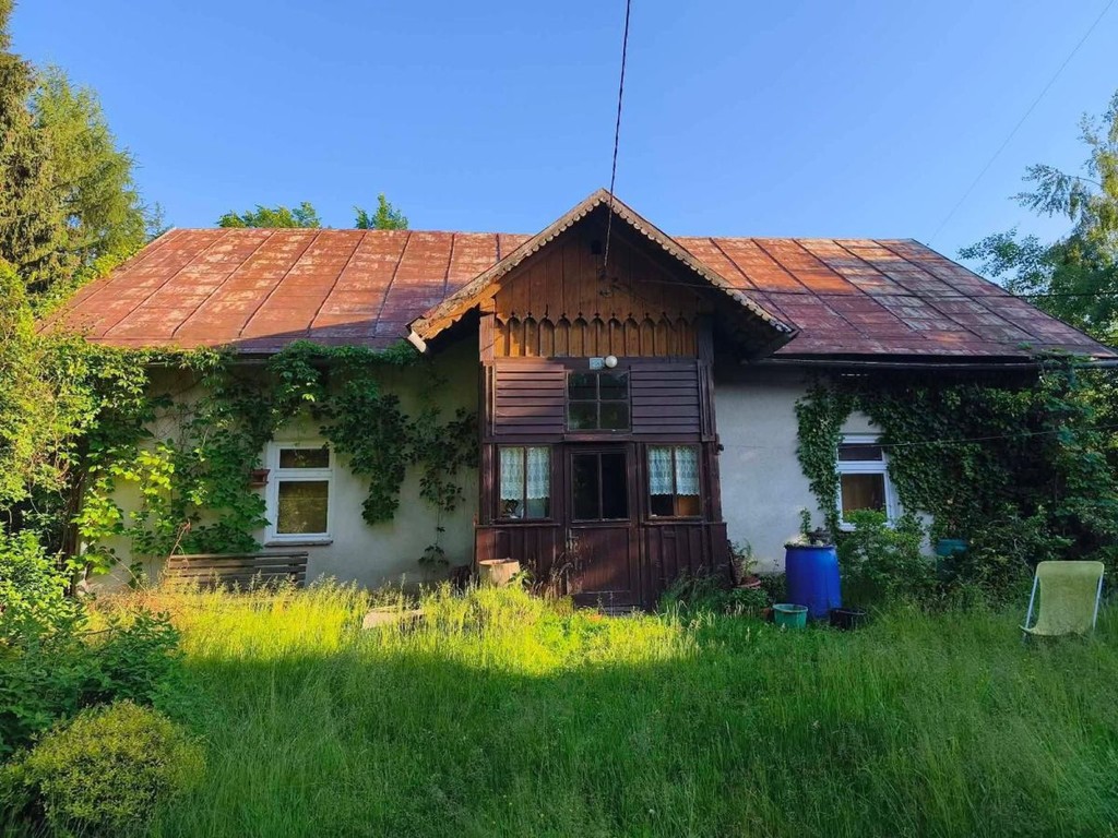 Siedlisko | działka 4600 m2 | ogród