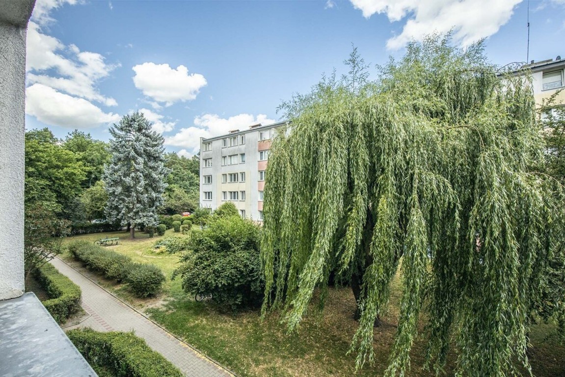 Potencjał inwestycyjny czy Twoje pierwsze M ? - Widok 6