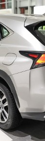 Lexus NX NX 14- 300h Elegance AWD_Oferta Dealera_Gwarancja-3