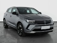 Opel Inny Opel , Salon Polska, 1. Właściciel, Serwis ASO, Automat, VAT 23%,