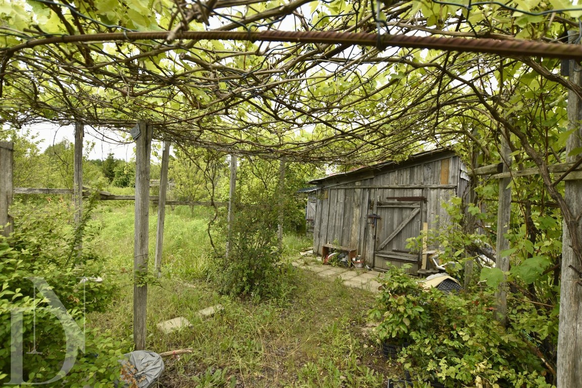 Działka 3124m² przy Puszczy Białowieskiej - Widok 3