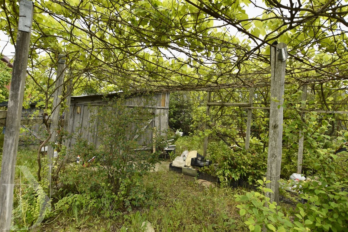 Działka 3124m² przy Puszczy Białowieskiej - Widok 5