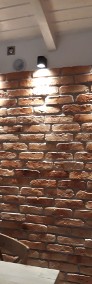 Plytki na ścianę, lico cegły, cegły na elewacje, stare cegły -3