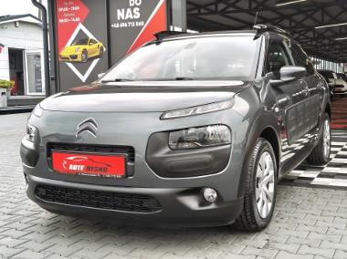 NISKI PRZEBIEG ! ZADBANY !-1