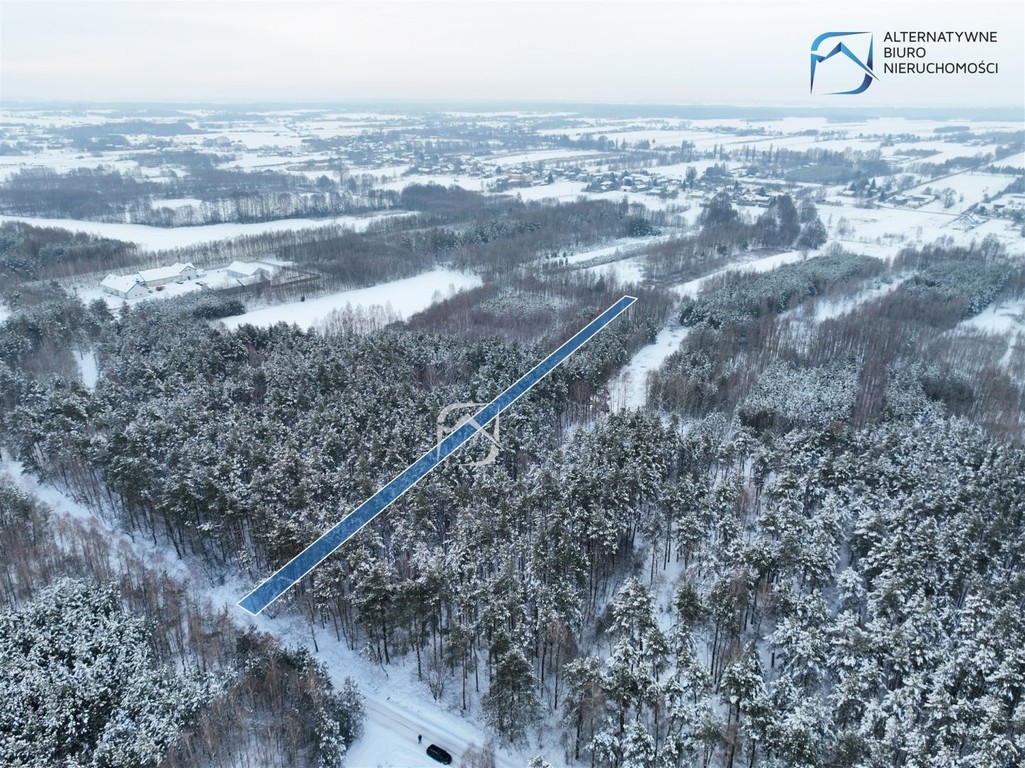 Działka leśna w miejscowości Tarło - Widok 2