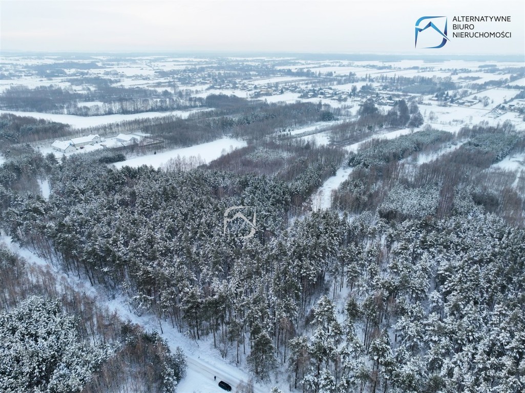 Działka leśna w miejscowości Tarło - Widok 3