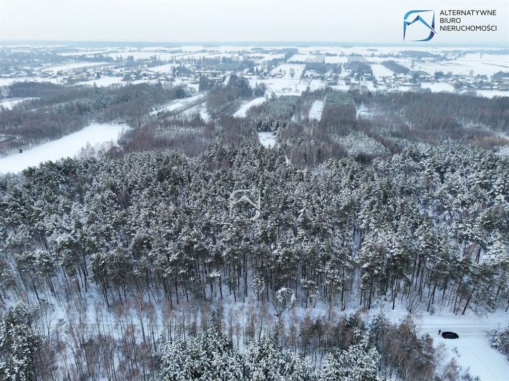 Działka leśna w miejscowości Tarło - Widok 4
