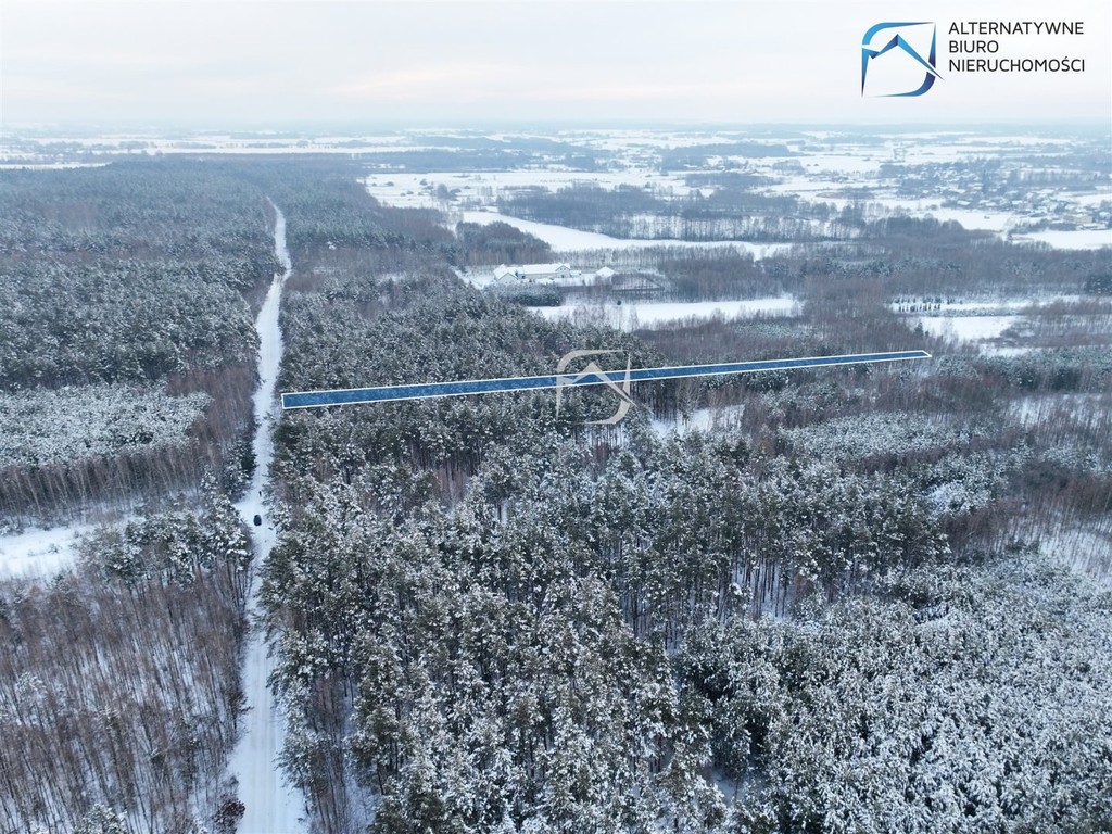 Działka leśna w miejscowości Tarło - Widok 5