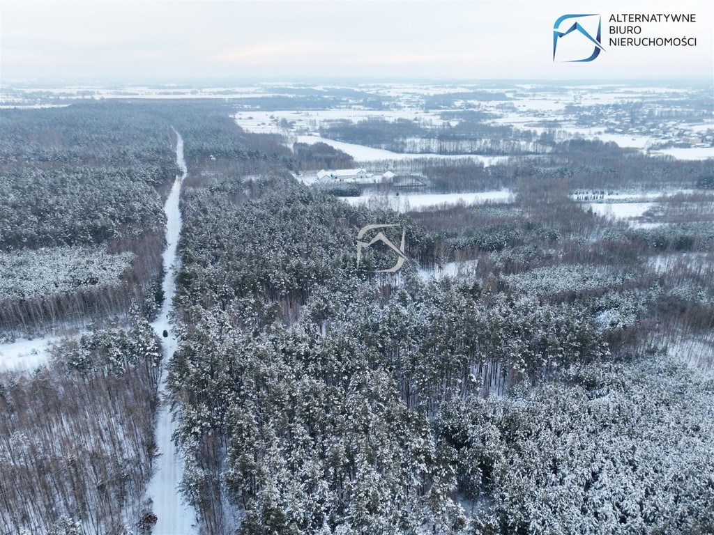 Działka leśna w miejscowości Tarło - Widok 6