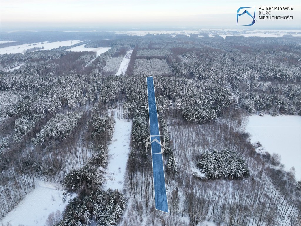Działka leśna w miejscowości Tarło - Więcej