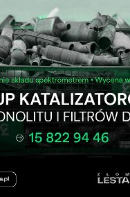 Skup katalizatorów Tarnobrzeg - monolitu DPF - ZŁOM LESTA-3