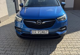 Opel Grandland X Pierwszy właściciel , polski salon