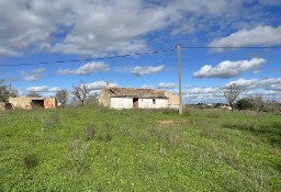 Dom Lagoa E Carvoeiro