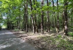 Działka budowlana Grzymek, ul. Śródleśna