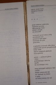  Kaskaderzy literatury-O twórczości i legendzie Bursy,Hłaski,Poświatowskiej,Stac-2
