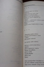  Kaskaderzy literatury-O twórczości i legendzie Bursy,Hłaski,Poświatowskiej,Stac-3