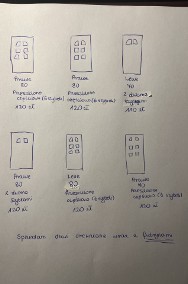 Drzwi drewniane wewnętrzne -2