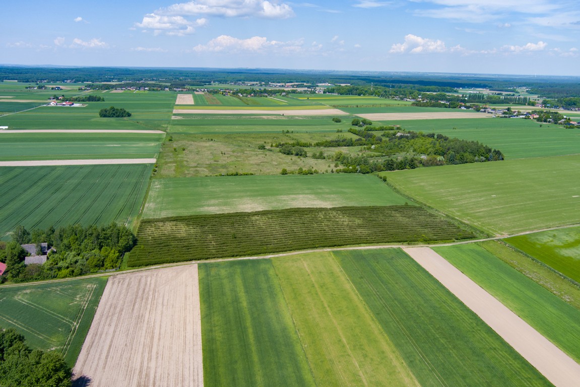 Parzymiechy | Działka na sprzedaż - Widok 6