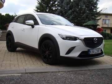 1 właściciel, Niski przebieg