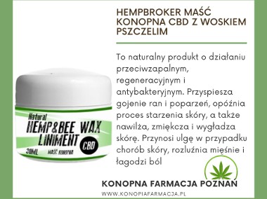  Maść Konopna CBD z Woskiem Pszczelim Hempbroker 30ml-1