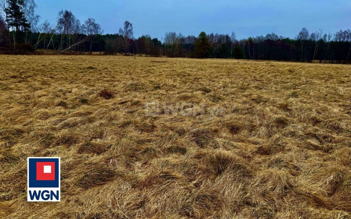 Działka na sprzedaż, 4228 m², Ustka - Więcej