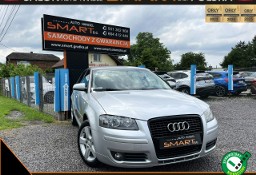 Audi A3 II (8P) 1.6 Benzyna / Klimatronik / Zarejestrowane