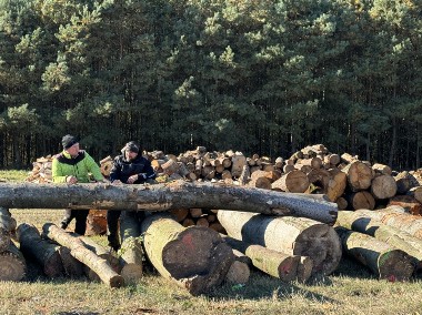 Grube drewno KŁODA BUKOWA (wdp) TANIO-1