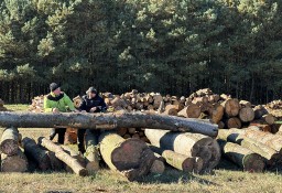 Grube drewno KŁODA BUKOWA (wdp) TANIO