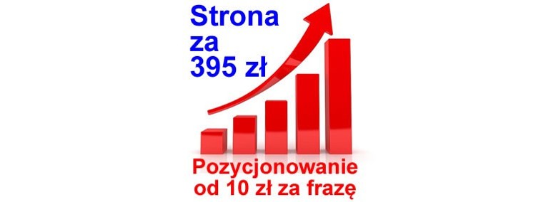 Strona wizytówka Ostrołęka tania strona internetowa WWW strony mobilne-1