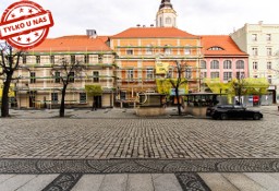 Lokal Świdnica, ul. Rynek