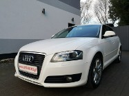 Audi A3 II (8P) 2.0 TDI 140KM # Klimatr # Ledy # Bi-XENON # Lift # Alu # Gwarancja