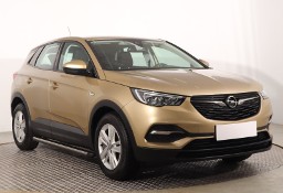 Opel Inny Opel , Salon Polska, 1. Właściciel, Klimatronic, Tempomat,