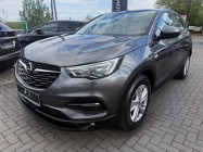 Opel Grandland X 1.5 CDti 130 KM Led Navi Acc Kamera Line Assist Panorama !