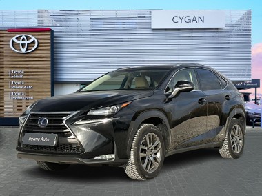 Lexus NX NX 14- 300h Comfort AWD-1