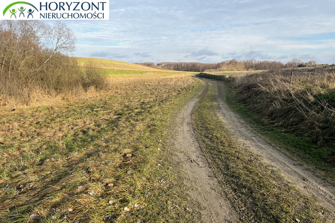 Kolbudy - Bielkówko działka na wzgórzu - Widok 6