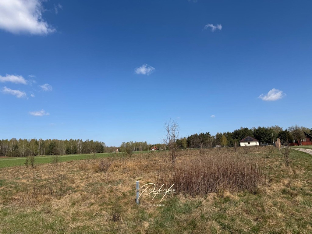 Działki budowlane–Ostrów Kania, gm. Dębe Wielkie - Widok 4