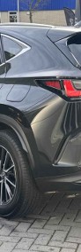 Lexus NX NX 14- 350h Elegance 2.5 Hybrid AWD 350h Elegance 2.5 Hybrid AWD 200KM | Podgrzewane-3