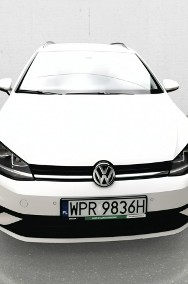 Volkswagen Golf VIII-2