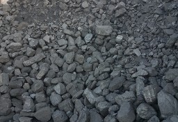 Węgiel kamienny dobra cena
