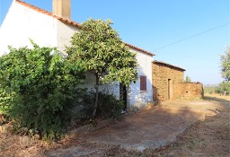 Dom Fundão, Castelo Branco