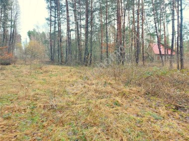 Duża działka budowlano-leśna-1