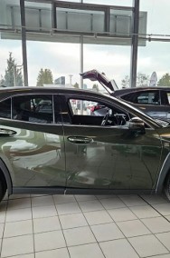 Lexus UX 300h F Sport Design 2.0 Hybrid Dynamic Force AWD F Sport Design 2.0 Hybrid-2