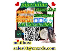 Spot goods piperidine CAS:79099-07-3 / 125541-22-2 /40064-34-4 