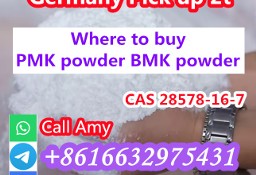 CAS 28578-16-7 PMK Powder Supplier in Europe