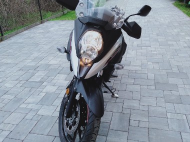DL 650 SUPER STAN-1