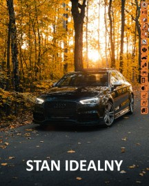 Audi S3 III (8V) IDEALNY STAN MECHANICZNY,AUTOMAT,BOGATE WYPOSAŻENIE,300 kM, BENZYNA2